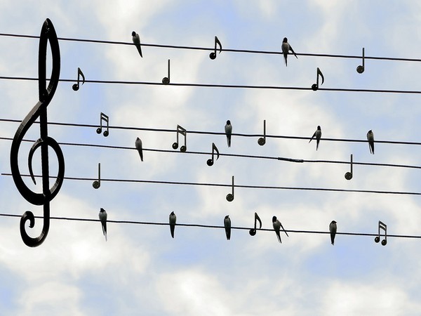 Music has long been called the universal language of humankind.