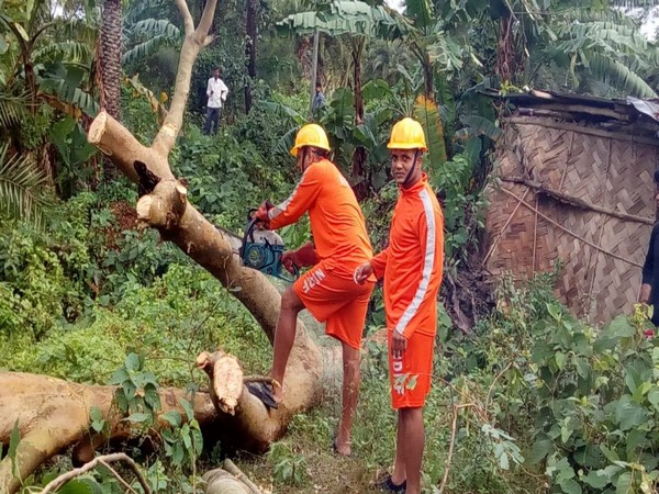 Trees uprooted in South 24 Parganas due to cyclone Bulbul. [Photo/ANI]