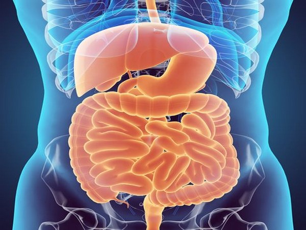 This study also builds off the team's previous research, which showed a similar effect in T-cell therapies, meaning it adds to a growing body of evidence.