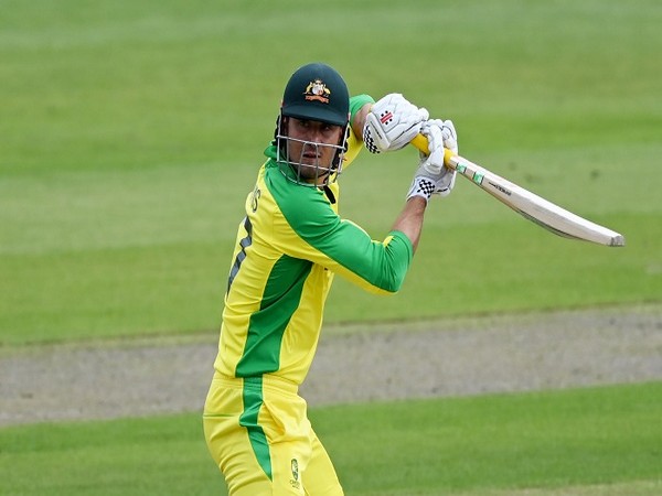 Australia all-rounder Marcus Stoinis (file image)