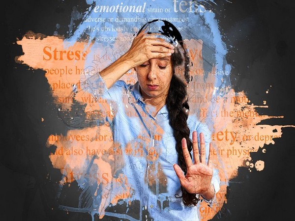 According to a study, 38 per cent of the surveyed people felt that their stress levels skyrocket during the holidays.