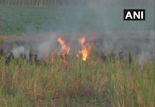 A visual of stubble burning in Amritsar, Punjab. 