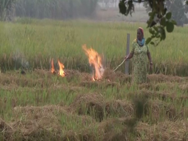 Farmers in Punjab continue with stubble burning. Photo/ANI
