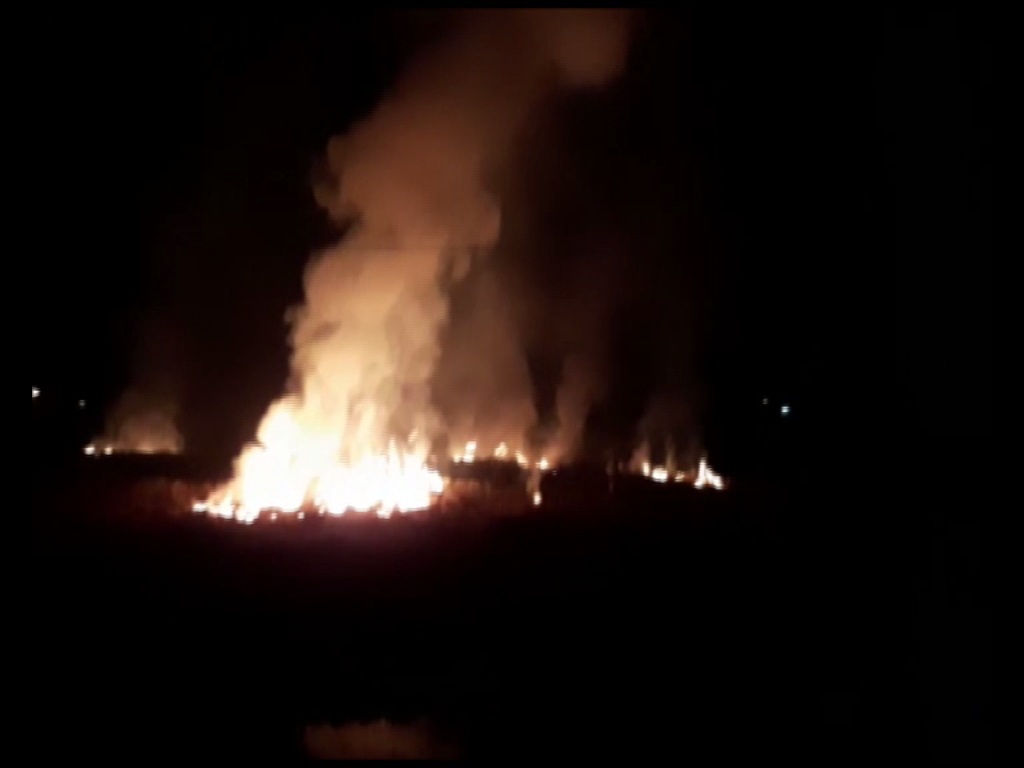Stubble being burned in Ambala, Haryana. Photo/ANI