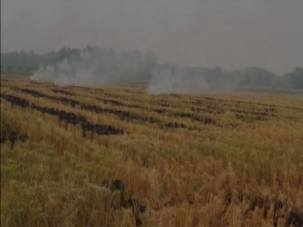 Farm fire in Rohtak [Photo/ANI]