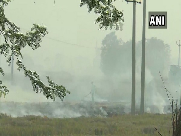 Farmers in Punjab continue with stubble burning. Photo/ANI