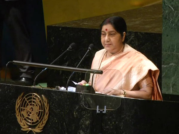 Former External Affairs Minister Sushma Swaraj at the UN General Assembly last year (file photo)