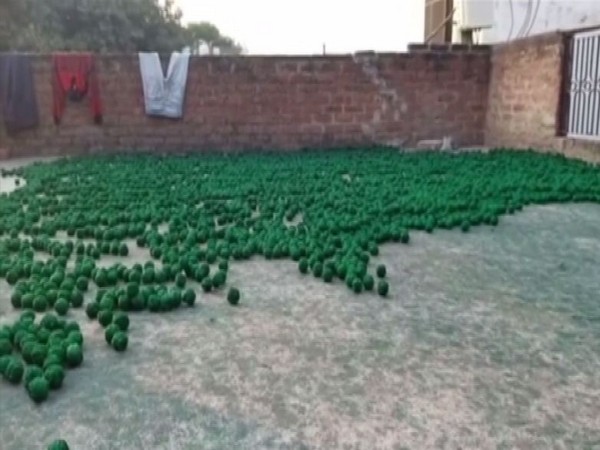 Firecrackers seized from Meerut, Uttar Pradesh. photo/ANI