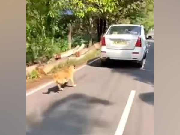 A still from the video of the incident. (Photo/ANI)