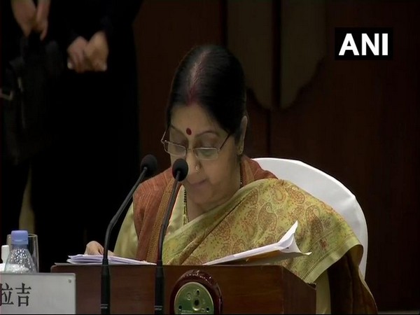 External Affair Minister Sushma Swaraj (File photo)