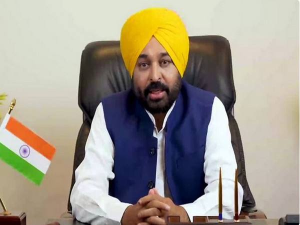Punjab Chief Minister Bhagwant Mann (File photo)