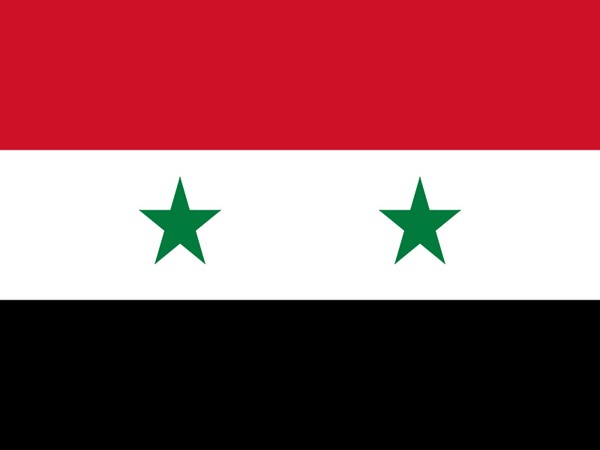 Flag of Syria (representative image)
