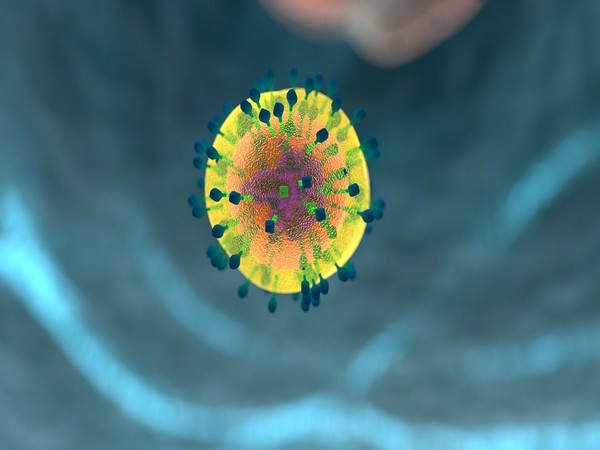 Collagens are the most abundant proteins found in mammals, and declining collagen levels are associated with aging