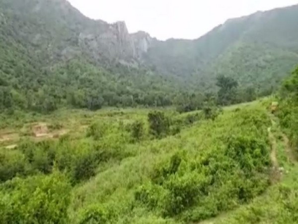 Periyanaickenpalayam forest range
