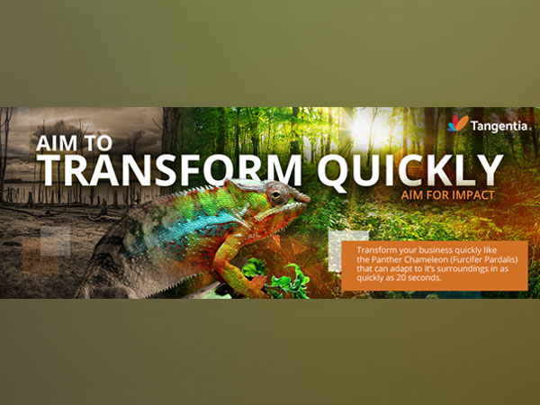 Aim to Transform Quickly