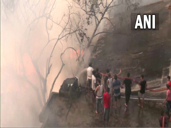 Visuals from the fire. (ANI/picture)