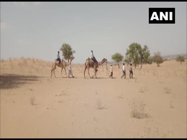 Teachers in Barmer traveling by camel to homes of students in desert areas. (Photo/ANI)
