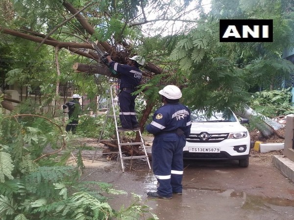 Greater Hyderabad Municipal Corporation staff clears collapsed trees. Photo/ANI