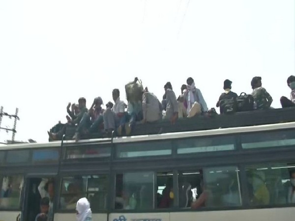 Passengers on bus rooftops