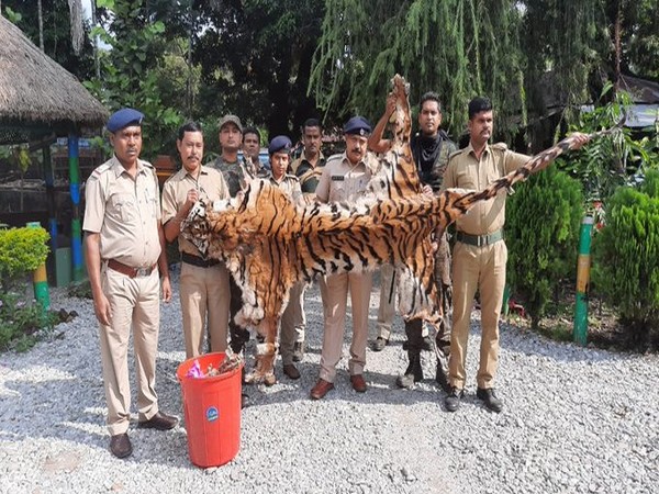  Officials of Belacoba forest range in Jalpaiguri district seized 14-feet long skin [Photo/ANI]