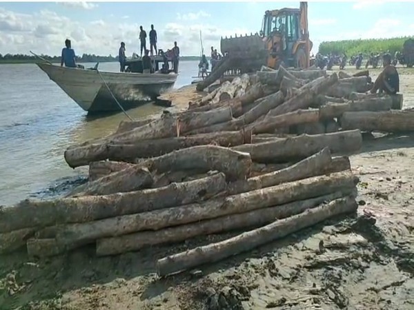 Visual of timber (File Photo/ANI) 