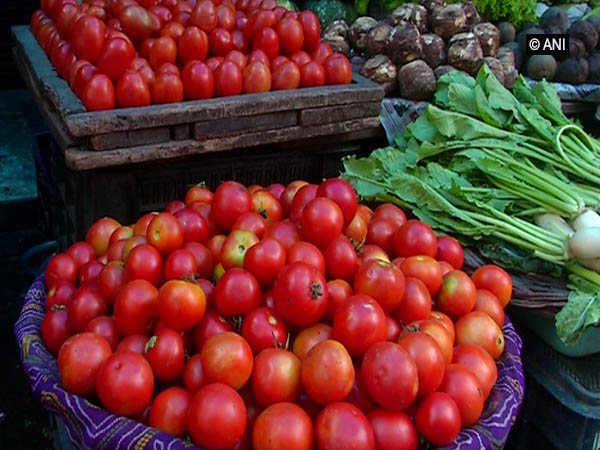Tomatoes being sold in a market. File photo