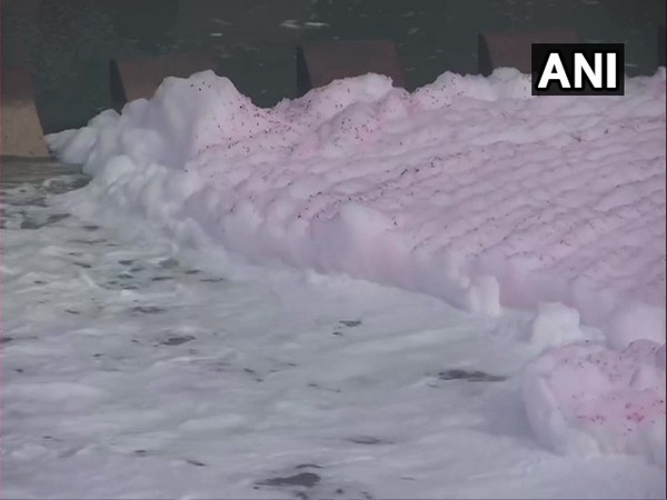 Toxic foam was seen floating in the Yamuna river at Kalindi Kunj on Tuesday. (Photo/ANI)