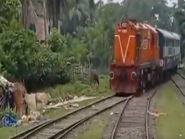 India's first parcel train to Benapole
