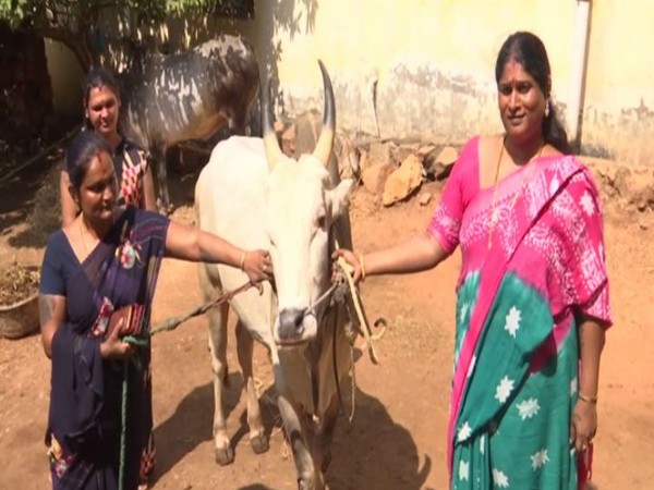 Keertan(left) with the bull she is training in Madurai. (ANI/Photo)