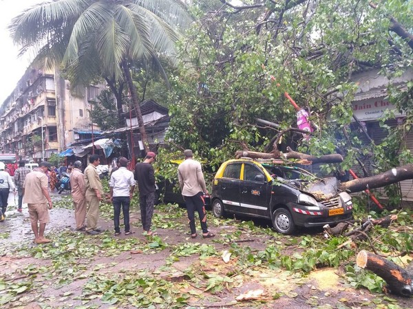 tree falls on a car injuring two people