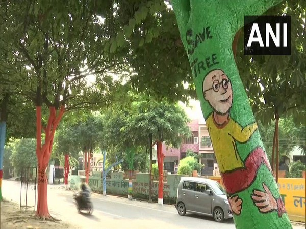 Visuals of trees painted with colours in Gomti Nagar, Lucknow.