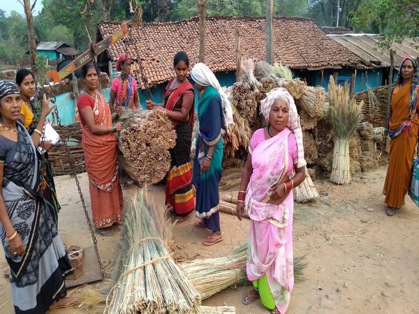 Tribal villagers of Narayanpur have been traditionally manufacturing 'phuljhadu' (brooms). Photo/ANI