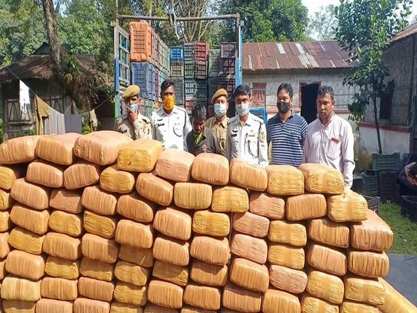 A visual of the accused with seized Ganja in Khowai in Tripura. 