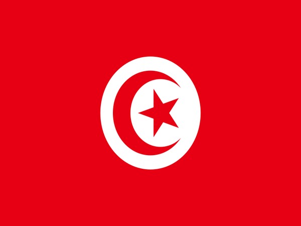 Flag of Tunisia 