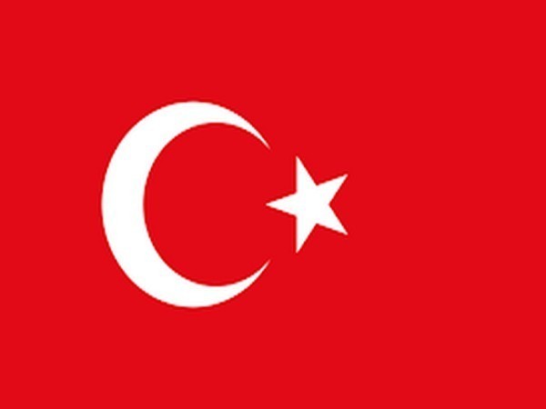 Flag of Turkey (representative image)