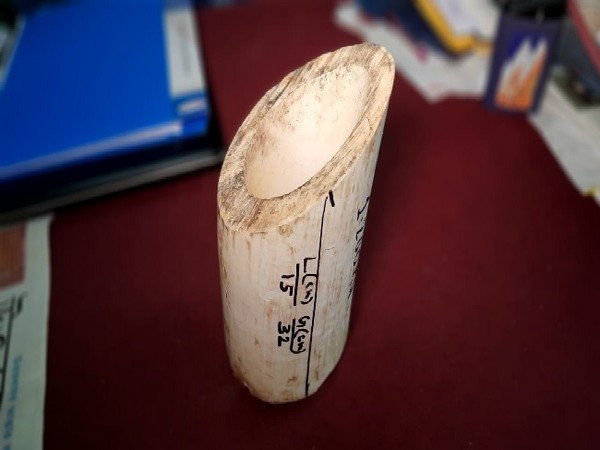 The elephant ivory seized by officials from the accused in Jalpaiguri/Belakoba , West Bengal. 