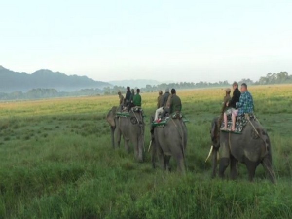 Visuals of tourists at Kaziranga National Park(Photo/ANI)