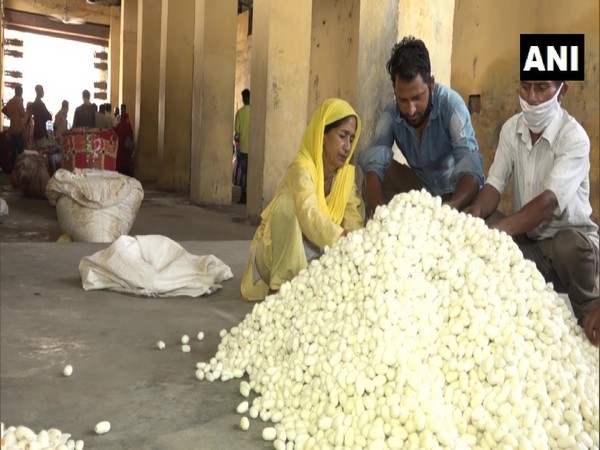 A silk production factory in Udhampur, Srinagar. (Photo/ANI)