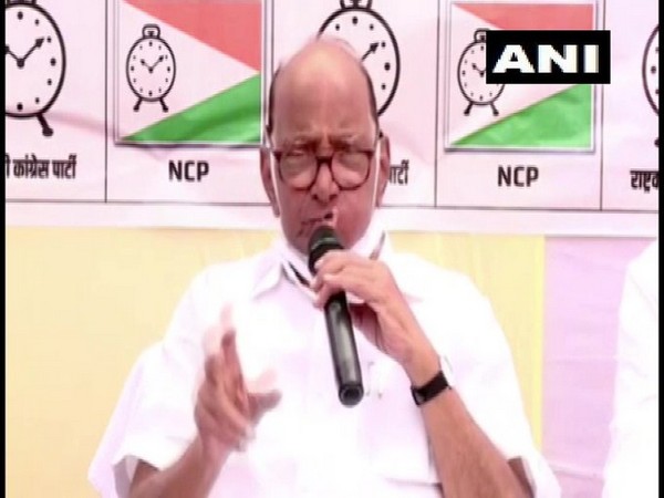 NCP chief Sharad Pawar (Photo/ANI)