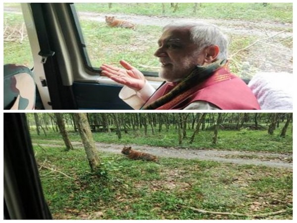 Union Minister of State for Environment Ashwini Kumar Choubey adopts a tiger. (Photo/PIB)