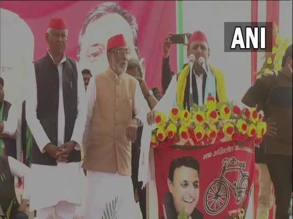 Samajwadi Party chief Akhilesh Yadav (Photo/ANI)
