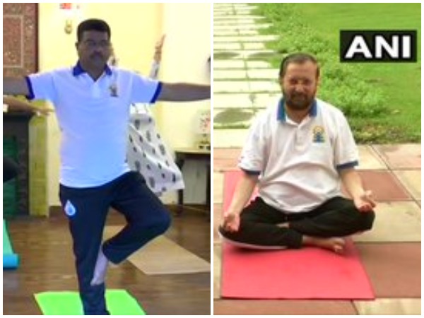 Union Ministers Dharmendra Pradhan, Prakash Javadekar performed yoga on International Yoga Day. 