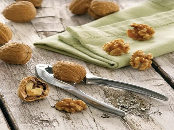 Nutcracker and California Walnuts