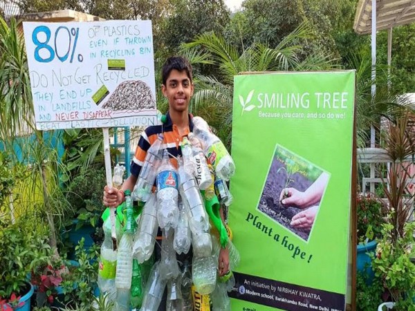 Aarav Kwatra Smiling Tree