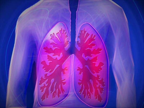 
    Researchers discover new target to combat lung disease
    