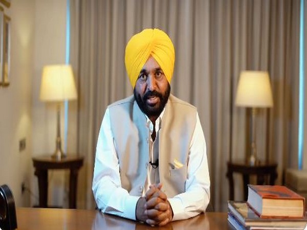 Punjab Chief Minister Bhagwant Mann. (File photo)
