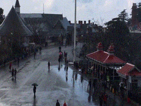 Visuals from Shimla (Photo:ANI)