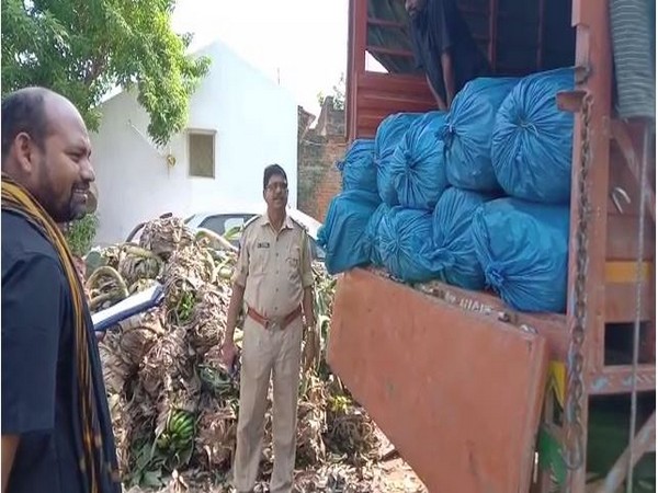 Visual of lorry from which cannabis was recovered in Visakhapatman on Tuesday. 