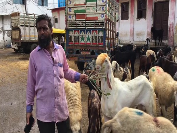 A trader with his goats at the Bakri Bakra Mandi in Indore. (Photo/ANI)