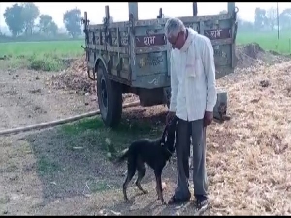Madhya Pradesh farmer Om Narayan Verma has willed a part of his ancestral property to pet dog. (Photo/ANI)